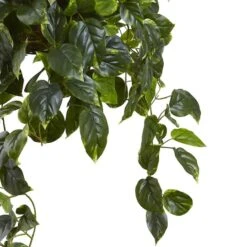 3ft. Pothos Hanging Basket -Michaels Shop D251626S 13