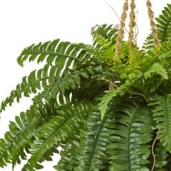 33" Boston Fern In Hanging Basket 8 33" Boston Fern In Hanging Basket -Michaels Shop D251649S 12