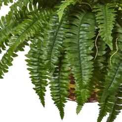 33" Boston Fern In Hanging Basket 9 33" Boston Fern In Hanging Basket -Michaels Shop D251649S 13