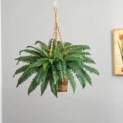 33" Boston Fern In Hanging Basket 10 33" Boston Fern In Hanging Basket -Michaels Shop D251649S 14