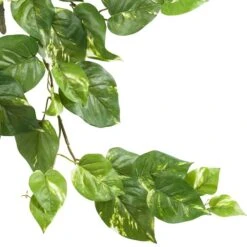 24” Pothos Hanging Bush, 3ct. -Michaels Shop D251656S 13