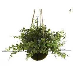 9'' Eucalyptus, Maiden Hair & Berry Hanging Basket, 3ct. -Michaels Shop D251666S 2