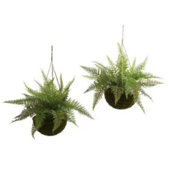 13'' Leather Fern In Mossy Hanging Basket, 2ct.