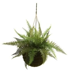 13'' Leather Fern In Mossy Hanging Basket, 2ct. -Michaels Shop D251667S 12