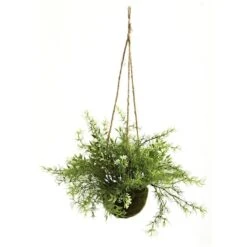 9'' Mini Ruscus, Sedum & Asparagus Fern Hanging Basket, 3ct. 5 9'' Mini Ruscus, Sedum & Asparagus Fern Hanging Basket, 3ct. -Michaels Shop D251668S 2