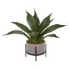 14" Agave Succulent In Decorative Planter