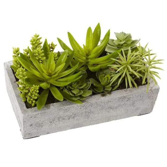 13" Succulent Garden With Concrete Planter 2 13" Succulent Garden With Concrete Planter - Image 2