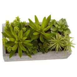 13" Succulent Garden With Concrete Planter 8 13" Succulent Garden With Concrete Planter -Michaels Shop D251700S 12