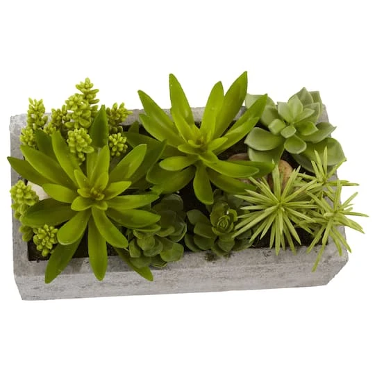 13" Succulent Garden With Concrete Planter 3 13" Succulent Garden With Concrete Planter - Image 3
