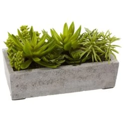 13" Succulent Garden With Concrete Planter 9 13" Succulent Garden With Concrete Planter -Michaels Shop D251700S 13