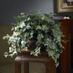 18" Potted Puff Ivy -Michaels Shop D251761S 2