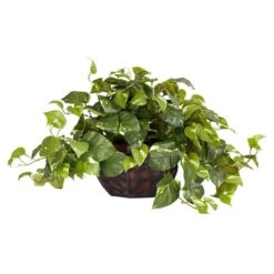 15" Potted Pothos Plant