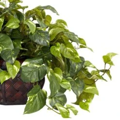 15" Potted Pothos Plant -Michaels Shop D251765S 12