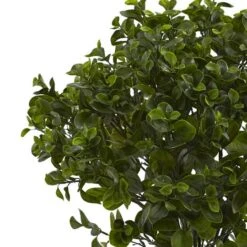 2.5ft. Potted Peperomia Plant 8 2.5ft. Potted Peperomia Plant -Michaels Shop D251786S 12