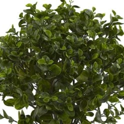 2.5ft. Potted Peperomia Plant 9 2.5ft. Potted Peperomia Plant -Michaels Shop D251786S 13