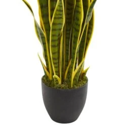 3ft. Potted Snake Plant -Michaels Shop D251798S 13