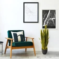 3ft. Potted Snake Plant -Michaels Shop D251798S 14