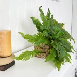 26" Green Fern Artificial Ledge Plant -Michaels Shop D251806S 17