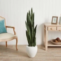 4.25ft. Sansevieria Plant In White Planter -Michaels Shop D251812S 12