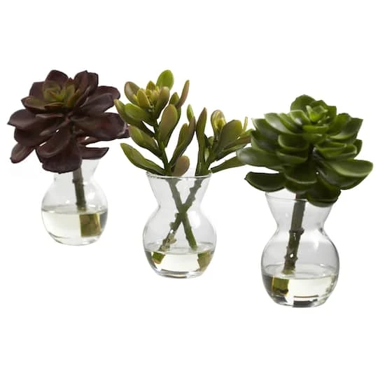 Succulent Arrangements In Vases 3ct. 2 Succulent Arrangements In Vases 3ct. - Image 2