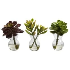 Succulent Arrangements In Vases 3ct. 13 Succulent Arrangements In Vases 3ct. -Michaels Shop D251816S 12