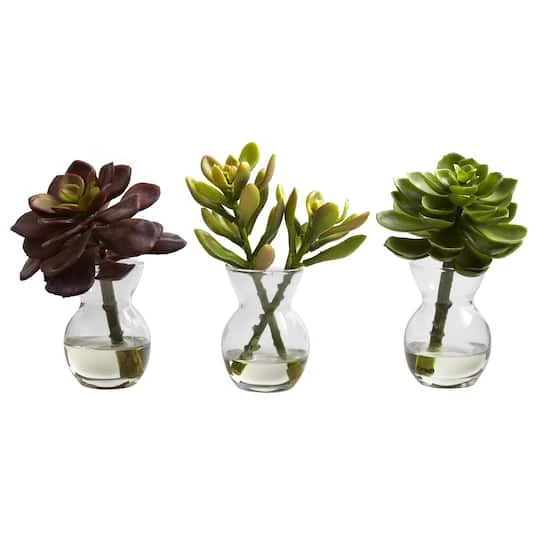 Succulent Arrangements In Vases 3ct. 3 Succulent Arrangements In Vases 3ct. - Image 3