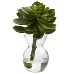 Succulent Arrangements In Vases 3ct. 14 Succulent Arrangements In Vases 3ct. -Michaels Shop D251816S 13