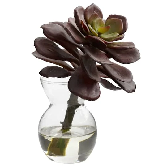 Succulent Arrangements In Vases 3ct. 5 Succulent Arrangements In Vases 3ct. - Image 5