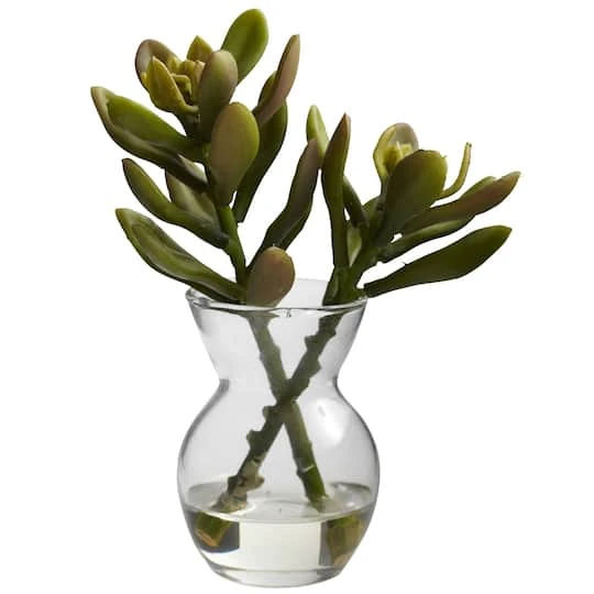 Succulent Arrangements In Vases 3ct. 6 Succulent Arrangements In Vases 3ct. - Image 6