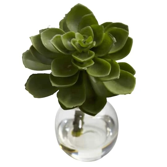 Succulent Arrangements In Vases 3ct. 7 Succulent Arrangements In Vases 3ct. - Image 7