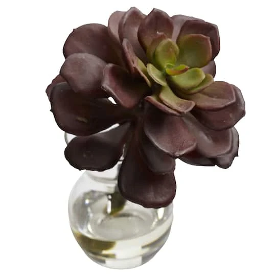 Succulent Arrangements In Vases 3ct. 8 Succulent Arrangements In Vases 3ct. - Image 8