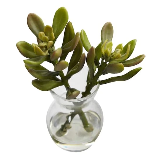 Succulent Arrangements In Vases 3ct. 9 Succulent Arrangements In Vases 3ct. - Image 9