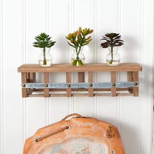 Succulent Arrangements In Vases 3ct. 11 Succulent Arrangements In Vases 3ct. - Image 11