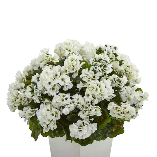 27" White UV Resistant Geranium Arrangement In White Planter 3 27" White UV Resistant Geranium Arrangement In White Planter - Image 3
