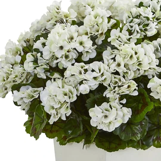27" White UV Resistant Geranium Arrangement In White Planter 4 27" White UV Resistant Geranium Arrangement In White Planter - Image 4