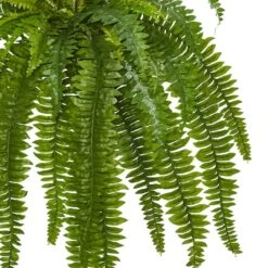 35” Boston Fern Plant, 2ct. -Michaels Shop D251829S 12