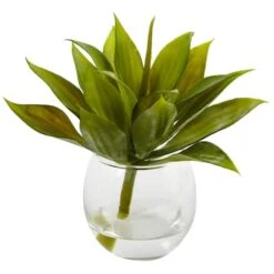 5.75" Mini Agave Succulent In Glass Vase, 3ct. -Michaels Shop D251838S 2