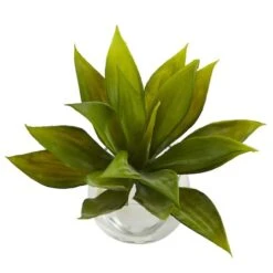 5.75" Mini Agave Succulent In Glass Vase, 3ct. -Michaels Shop D251838S 3