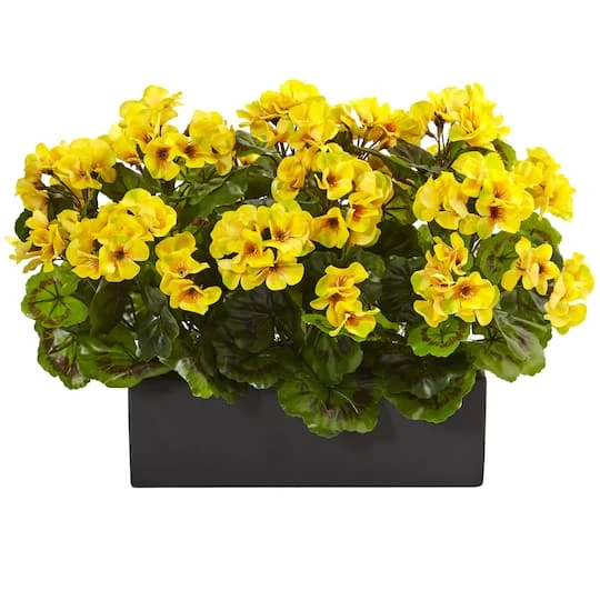 13" Yellow Geranium In Rectangular Planter 2 13" Yellow Geranium In Rectangular Planter - Image 2