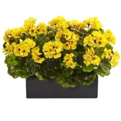 13" Yellow Geranium In Rectangular Planter
