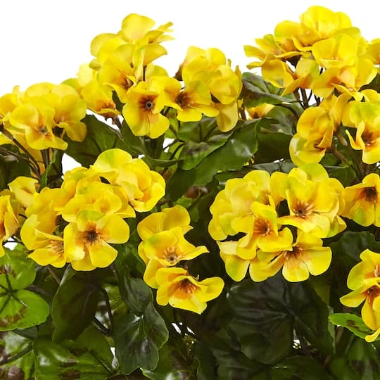 13" Yellow Geranium In Rectangular Planter 3 13" Yellow Geranium In Rectangular Planter - Image 3