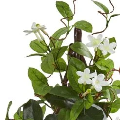 24” Potted White Stephanotis Climbing Plant -Michaels Shop D251851S 12