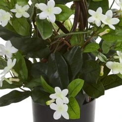 24” Potted White Stephanotis Climbing Plant -Michaels Shop D251851S 13