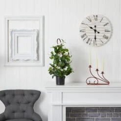 24” Potted White Stephanotis Climbing Plant -Michaels Shop D251851S 15