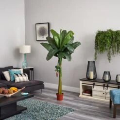 6ft. Potted Banana Tree -Michaels Shop D251921S 15