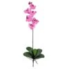 Mauve Moth Orchid Stem, 6ct.