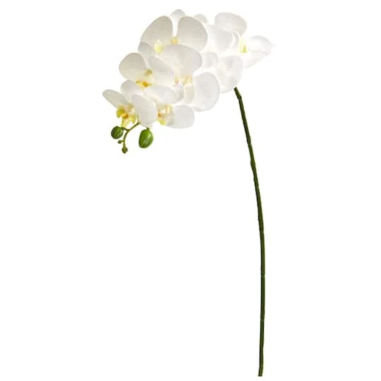 White Moth Orchid Stem, 6ct. 2 White Moth Orchid Stem, 6ct. - Image 2