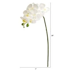 White Moth Orchid Stem, 6ct. 5 White Moth Orchid Stem, 6ct. -Michaels Shop D252210S 2