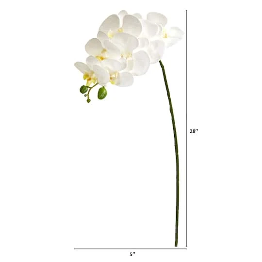 White Moth Orchid Stem, 6ct. 3 White Moth Orchid Stem, 6ct. - Image 3