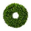 25'' Eucalyptus Wreath